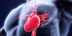 ما سبب ضربات القلب السريعة بدون مجهود | الوقاية من ضربات القلب السريعة
