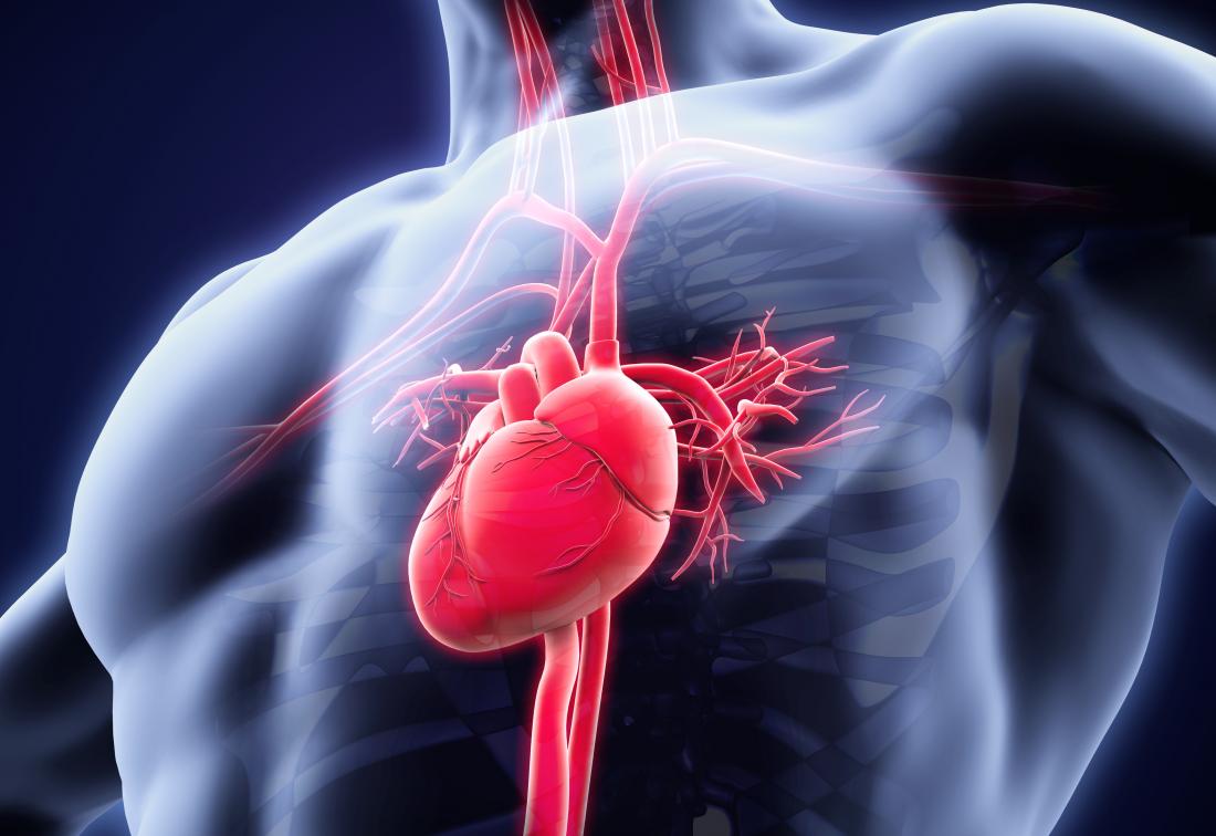 ما سبب ضربات القلب السريعة بدون مجهود
